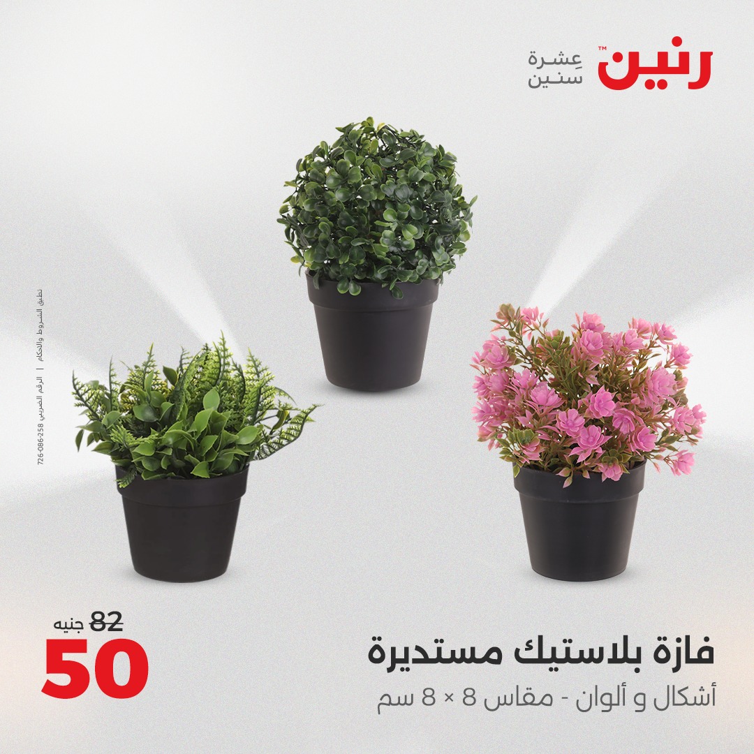 raneen offers from 13apr to 14apr 2025 عروض رنين من 13 إبريل حتى 14 إبريل 2025 صفحة رقم 155